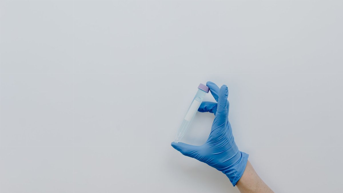 Gloved hand holding a centrifuge tube against a plain backdrop, offering copy space.