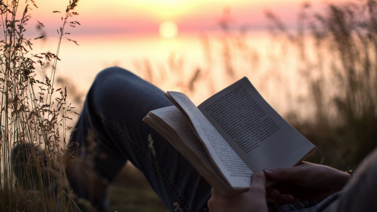 Person enjoys a peaceful moment reading by the sea at sunset, surrounded by nature.
