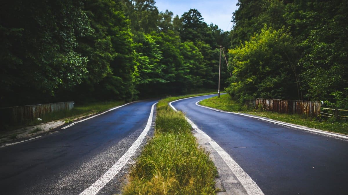 Scenic rural road winding through a dense green forest landscape, ideal for travel themes.