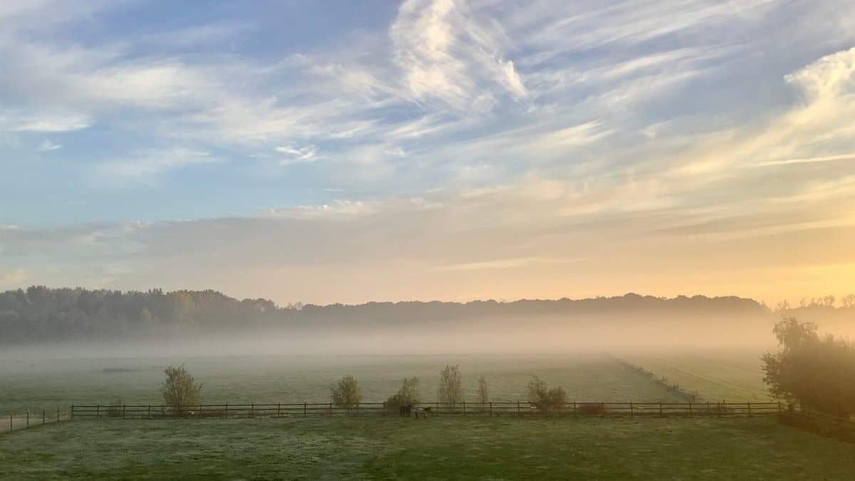 Serene misty morning view of the rural farmland in Antwerp, Belgium, under a pastel sky.