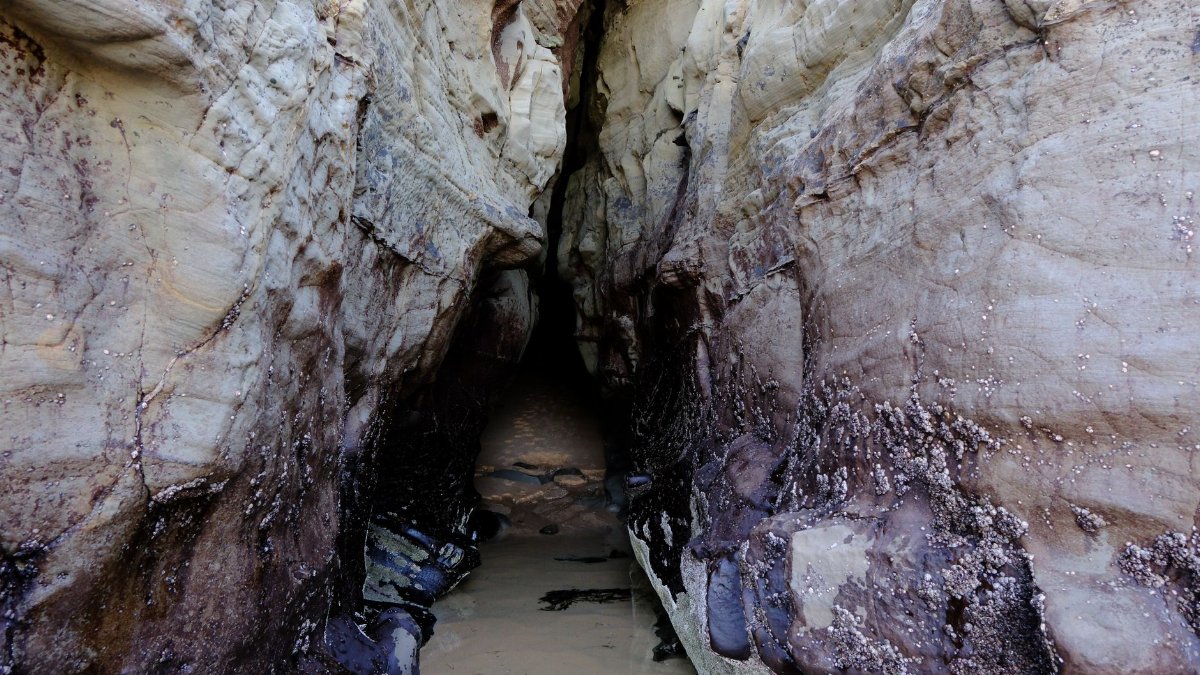 Explore a narrow rocky cave entrance with visible wet path and natural textures.