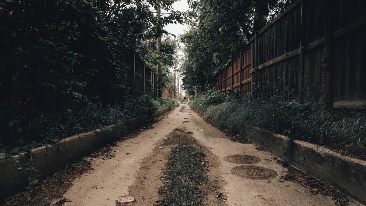 A narrow concrete path surrounded by wooden fences and lush greenery. Perfect for urban exploration themes.