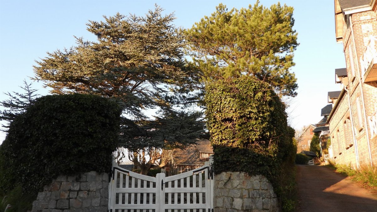 Charming countryside scene featuring a white gate, trees, and rustic houses along a narrow path.