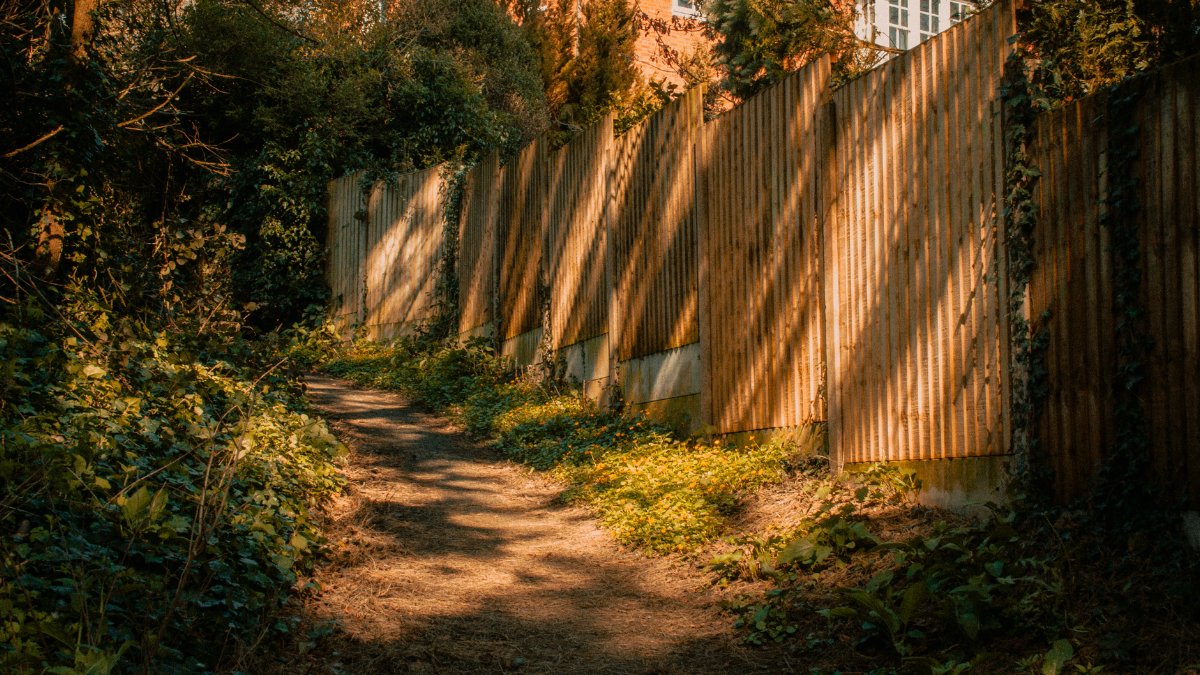 A tranquil sunlit path lined by a wooden fence in Shrewsbury, capturing nature's serenity.