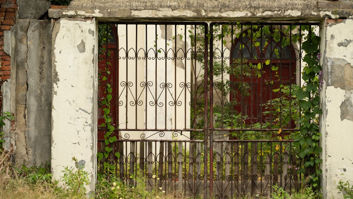 An old iron gate with ivy in a weathered stone wall background.