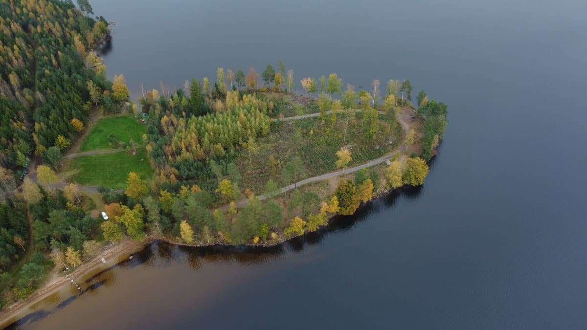 Aerial view of a forested peninsula surrounded by a lake in autumn colors, located in Kronoberg County, Sweden.