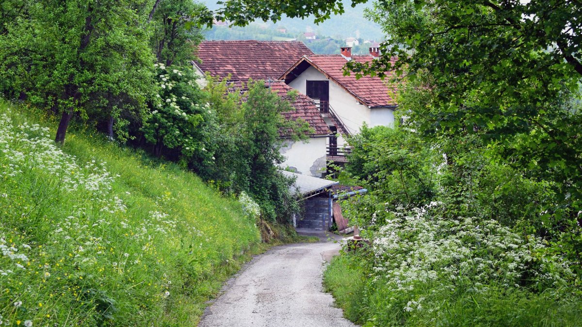 A scenic rural path leading to a house in Višegrad, surrounded by lush greenery and wildflowers.