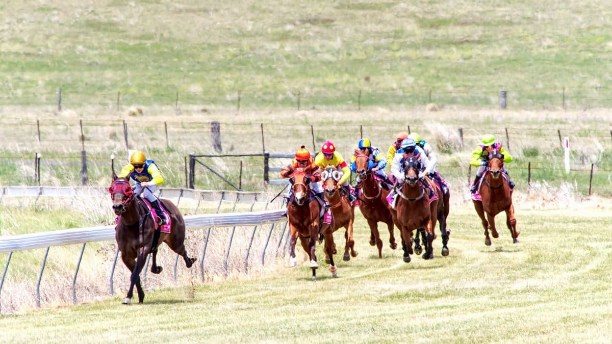 Exciting horse race with jockeys in colorful attire on a grass track.