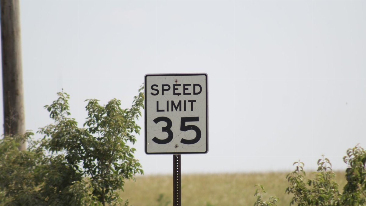 A speed limit sign reading '35' surrounded by green plants in a rural setting.