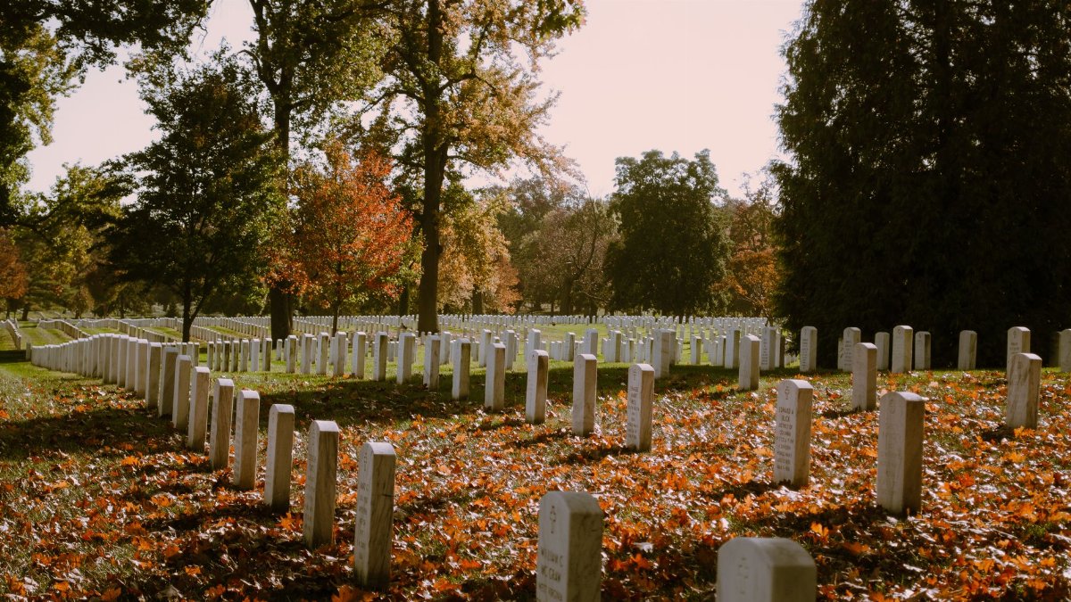 Autumn foliage and tombstones at Arlington National Cemetery on a sunny day.