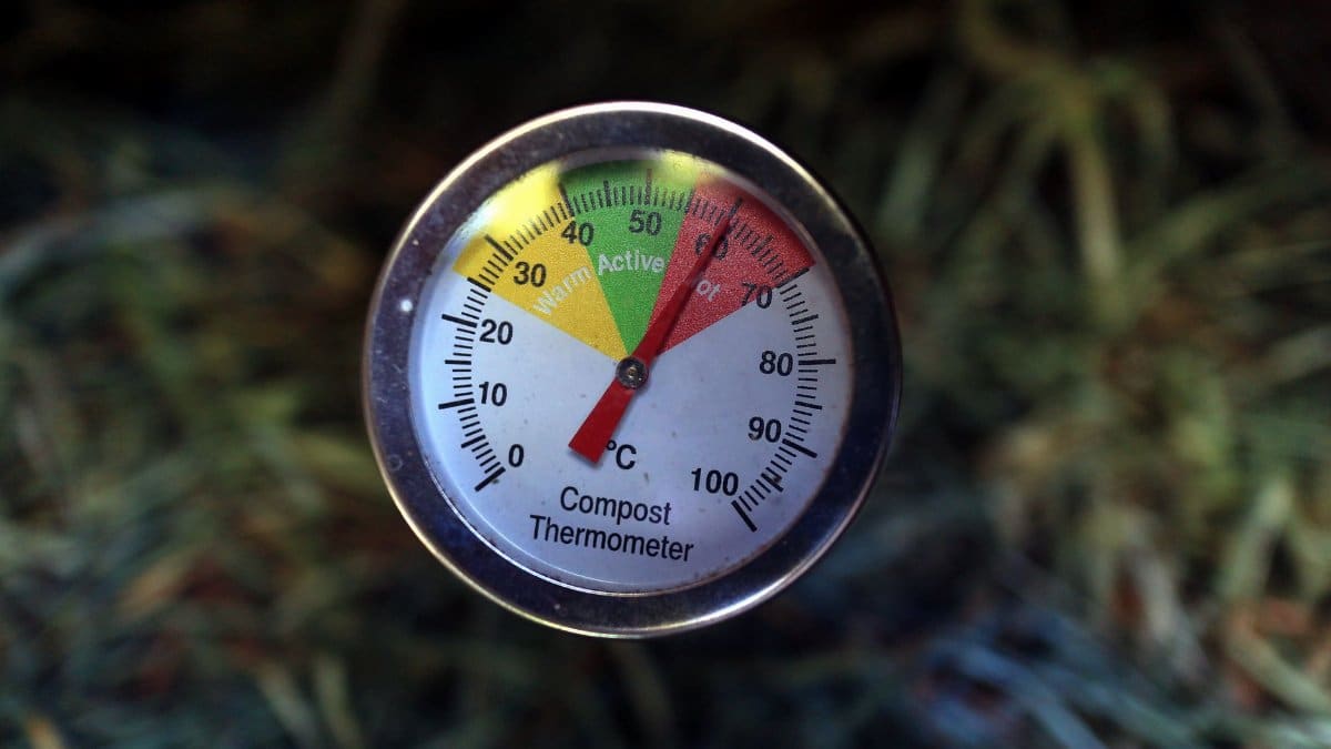 Close-up of a compost thermometer showing active temperature in a compost pile.