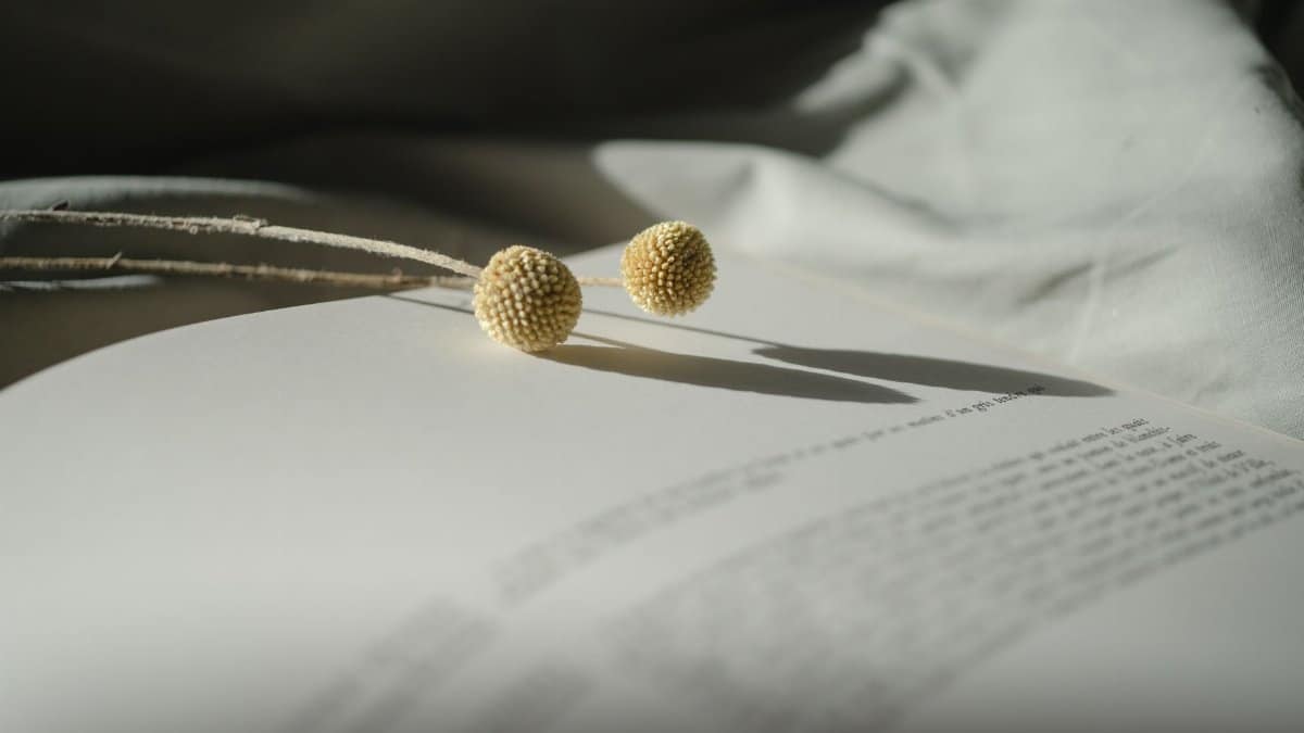 An artistic still life photograph featuring an open book with dried craspedia flowers elegantly arranged in light and shadow.