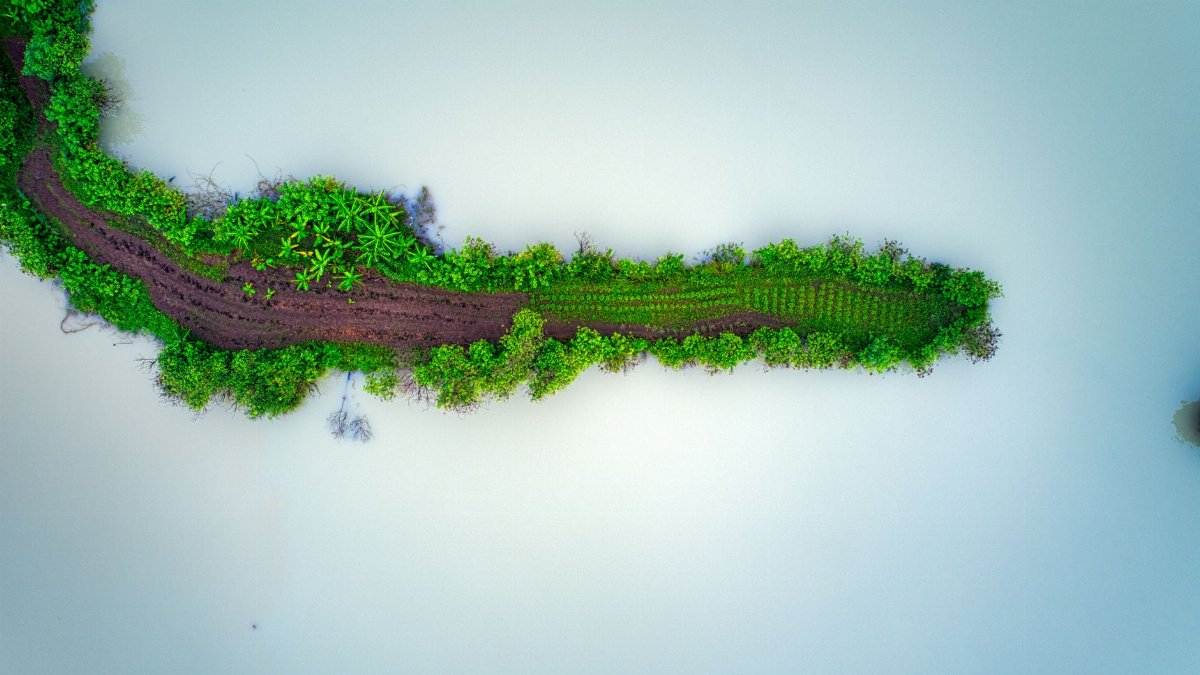 Drone shot of lush green farmland in Banten, Indonesia, surrounded by reflective waters.