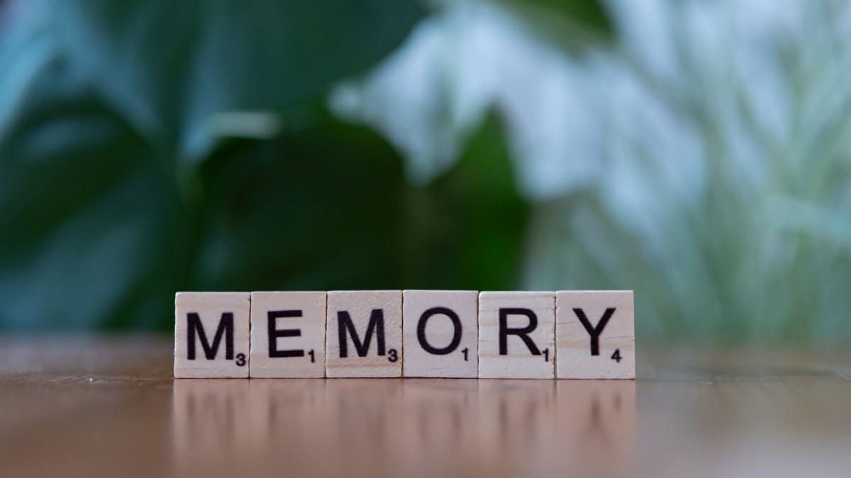 Wooden letter tiles spelling 'Memory' on a wooden table with blurred green background.