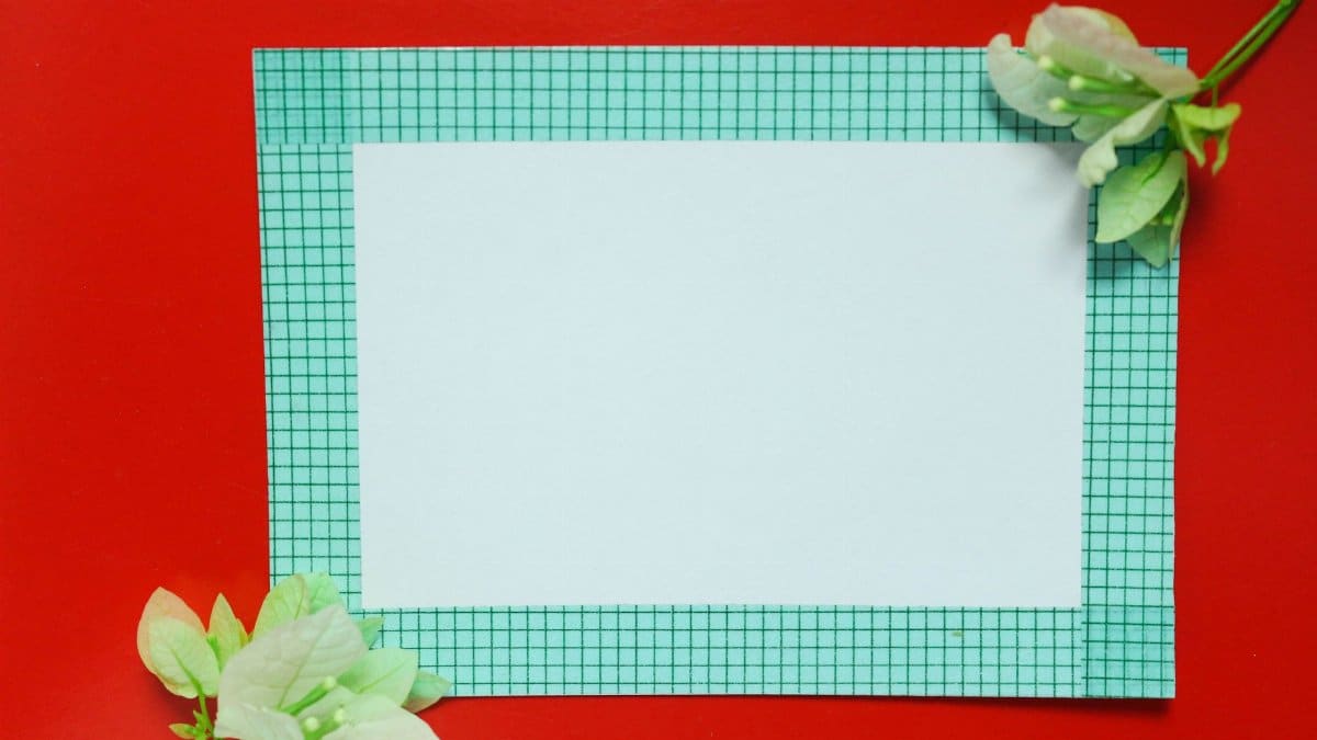 A minimalist photo of white paper on a red background with green leaves, offering ample copy space.