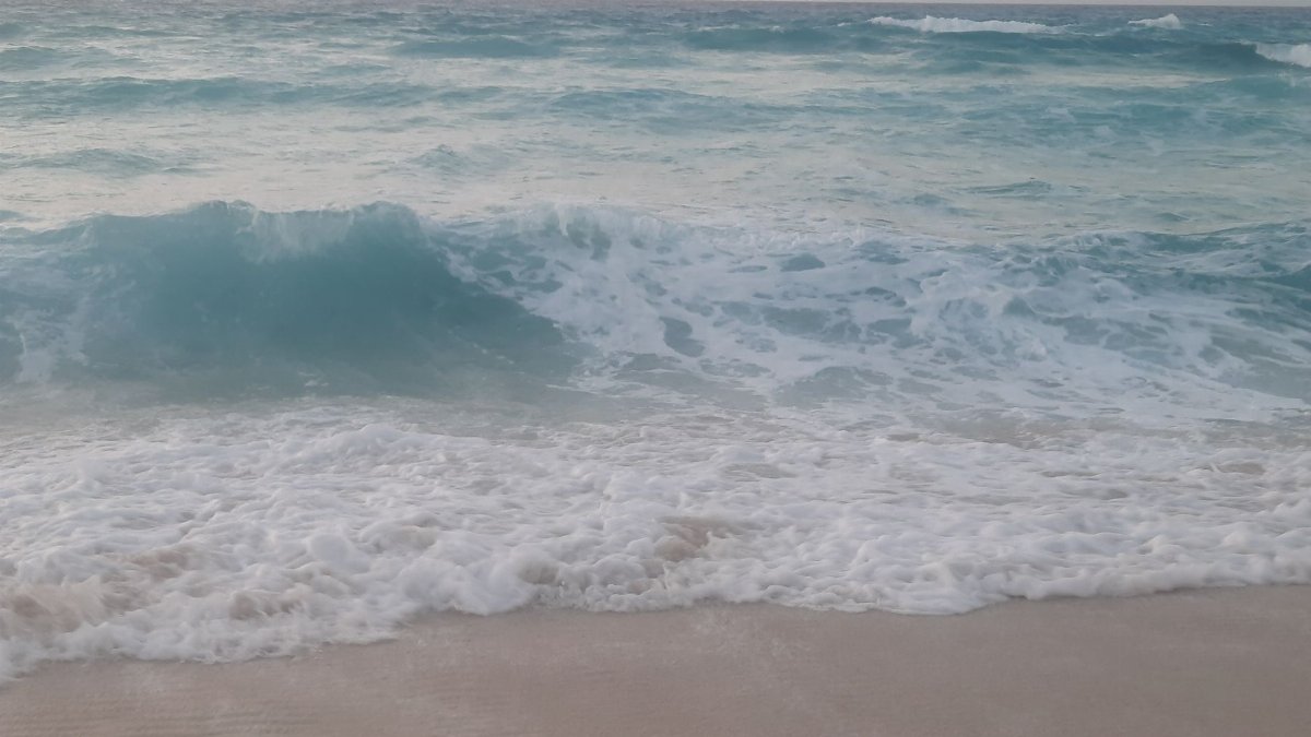 Peaceful ocean waves gently crashing on a sandy beach at daytime.