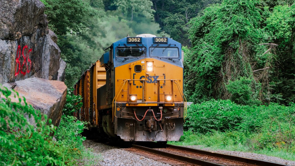 A vibrant freight train travels through dense green countryside, conveying industrial strength.