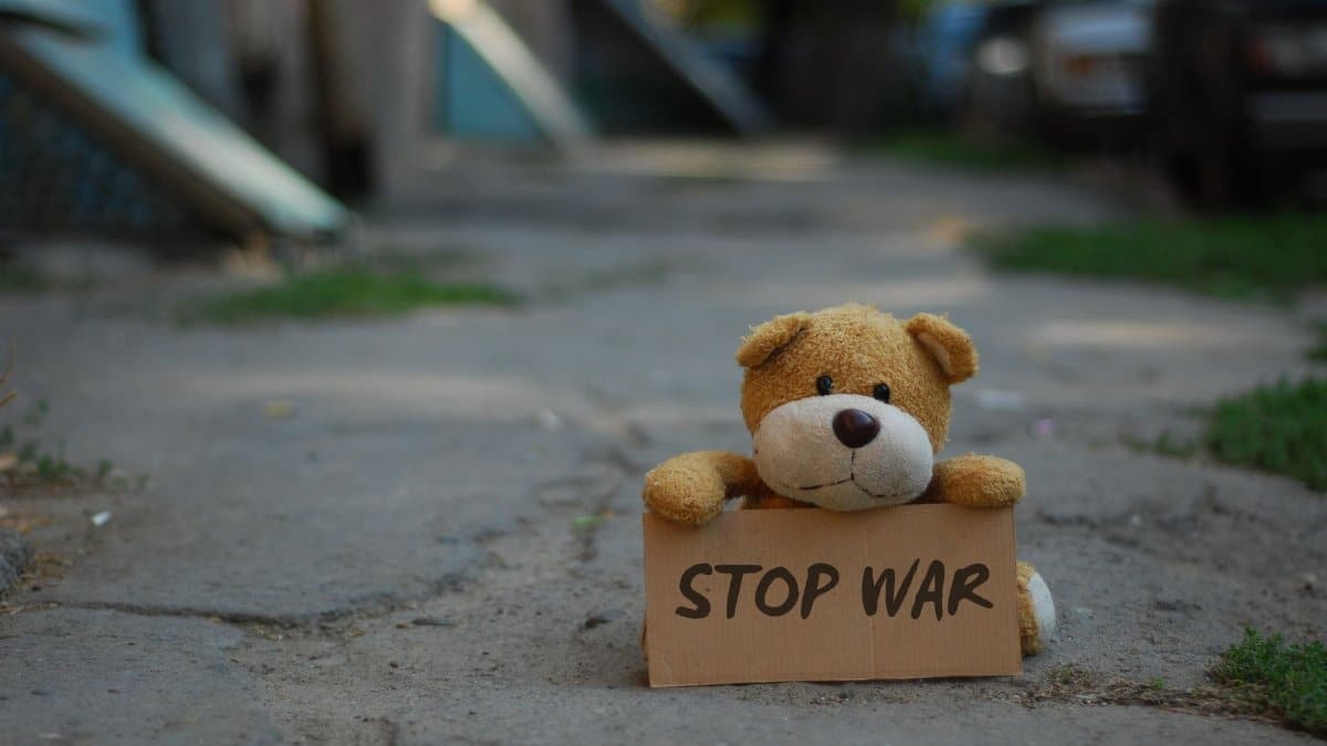 A teddy bear holding a 'Stop War' sign in an urban setting, conveying an anti-war message.