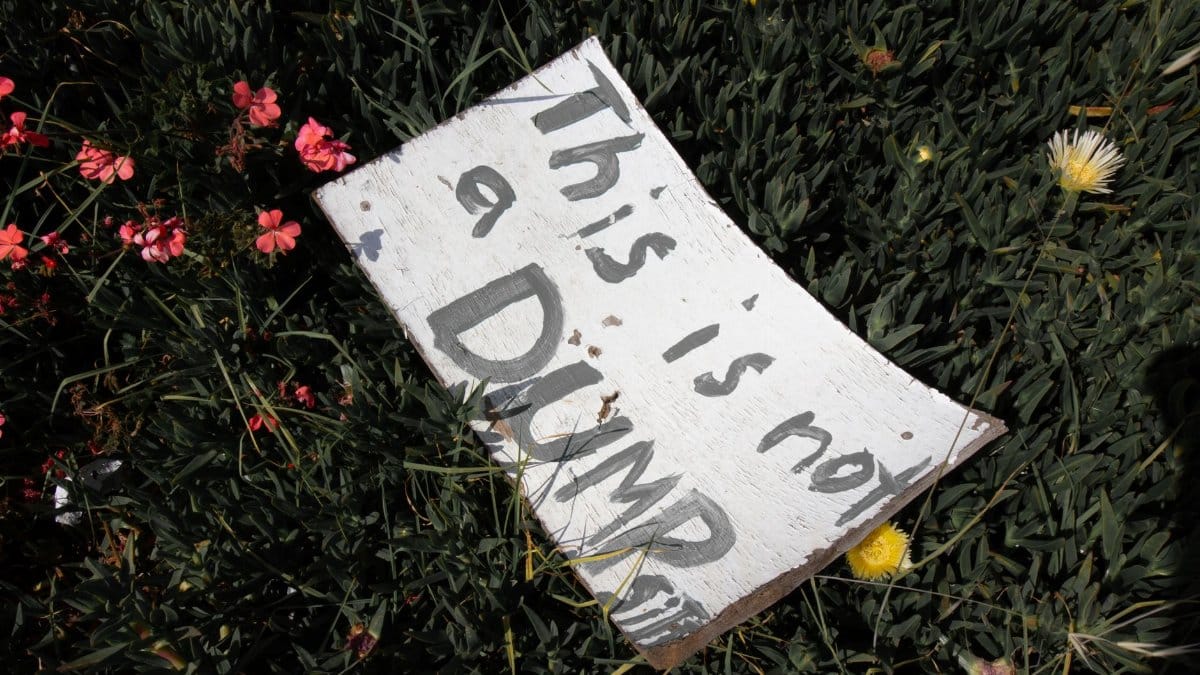 A warning sign reading 'This is not a dump' amidst flowering plants.