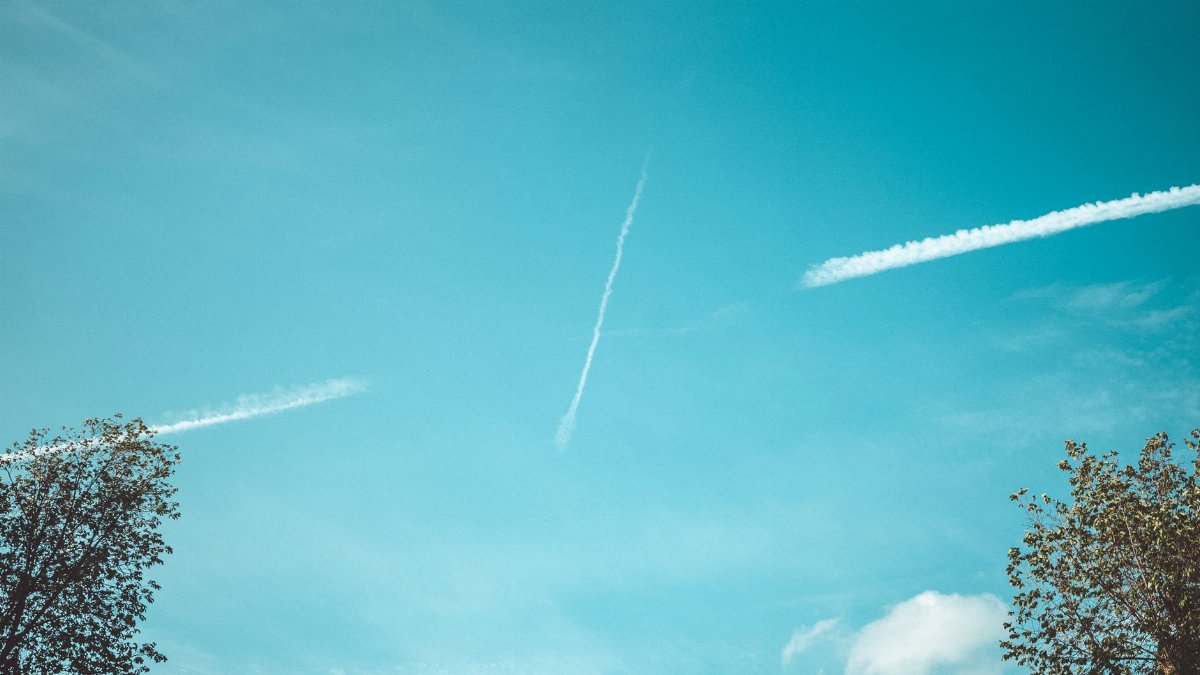 This image features a bright blue sky with visible contrails and tree tops.