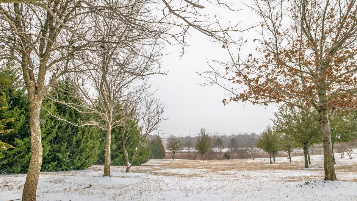 Scenic winter view of a snowy landscape with trees in Fort Worth, Texas.