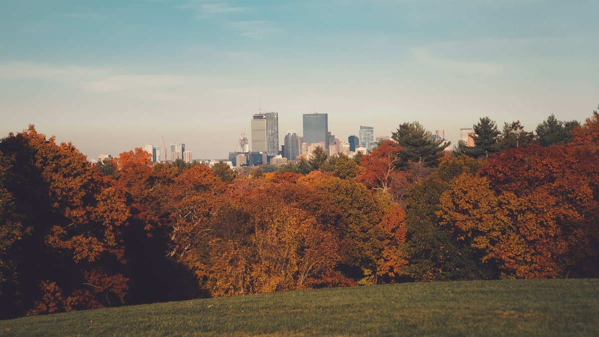 Stunning view of Boston skyline framed by vibrant autumn foliage, showcasing urban calm.