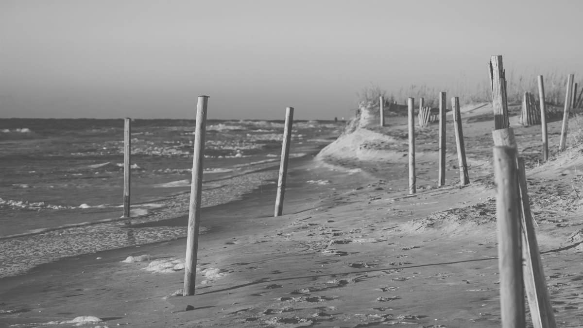 Black and white image of a serene beach with wooden fence posts along the shoreline at daytime.