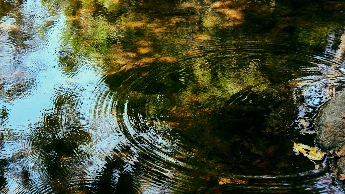 Calm river scene in Nigeria showing rippling water with reflections of trees, creating a peaceful atmosphere.