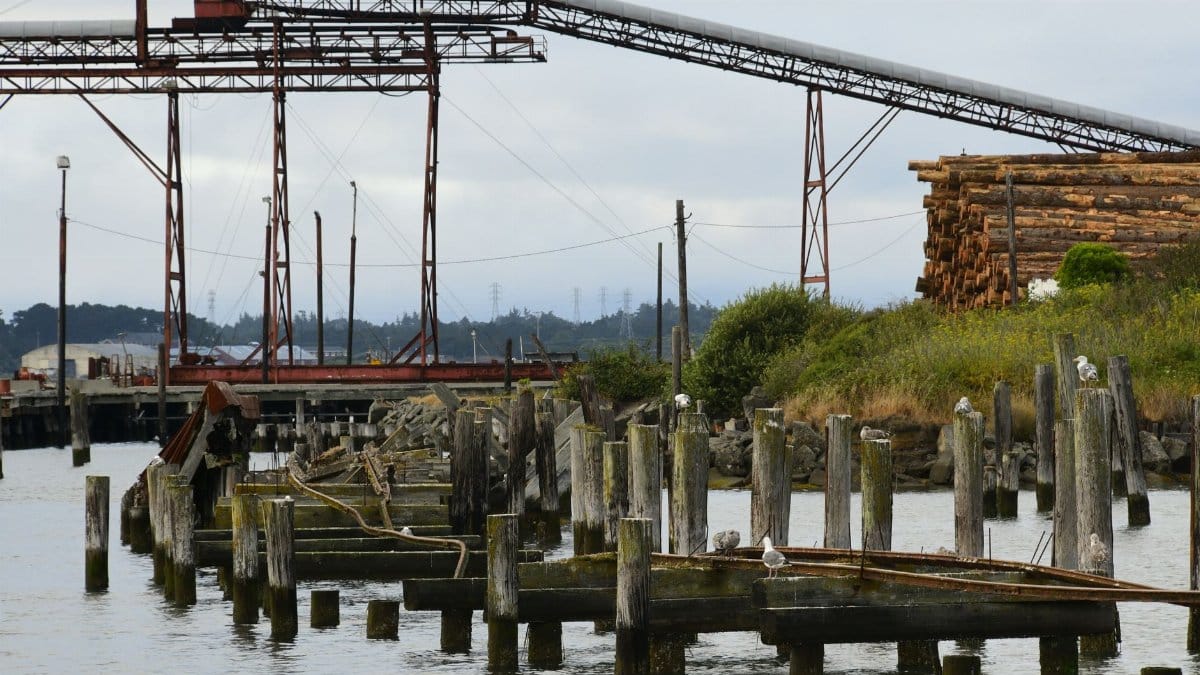Old redwood mill and pier remnants beside water in Humboldt Bay, California, USA.