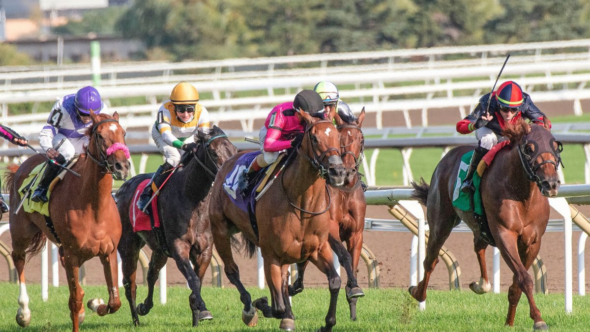 Intense horse race showcasing competitive jockeys driving their steeds toward victory.
