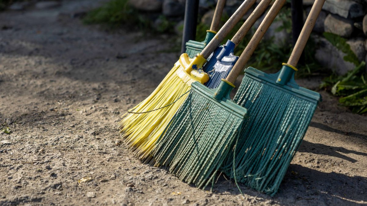 A group of colorful brooms standing on a dirt path outdoors, perfect for cleaning themes.