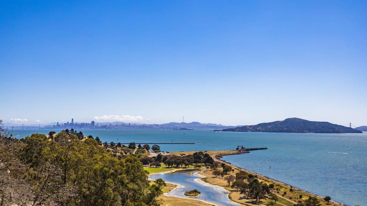 Stunning aerial shot of San Francisco Bay showcasing the skyline, vivid waters, and clear blue sky.