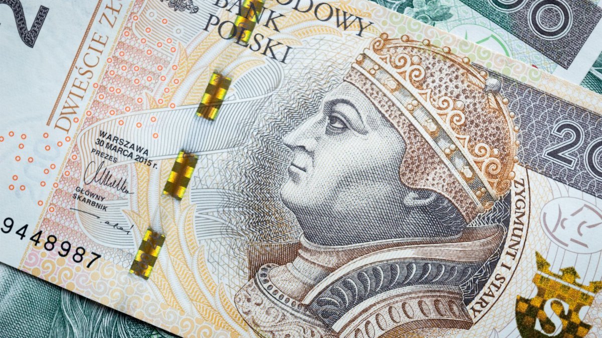 High-resolution image of Polish currency banknotes showcasing intricate design and security features.