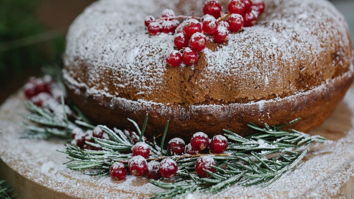 Palatable cake with red berry bunch and powdered sugar near fir sprigs during New Year holiday