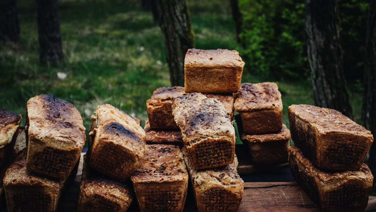 A collection of rustic loaves of bread stacked on a wooden board in an outdoor forest setting.