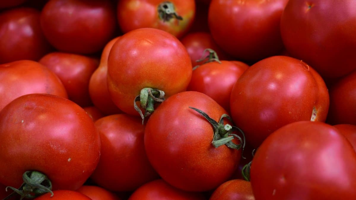A close-up of fresh, ripe red tomatoes stacked at a market, perfect for food photography.
