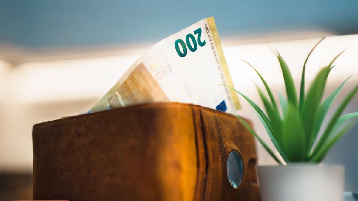 Close-up of a leather wallet holding euro banknotes next to a small plant, symbolizing savings.