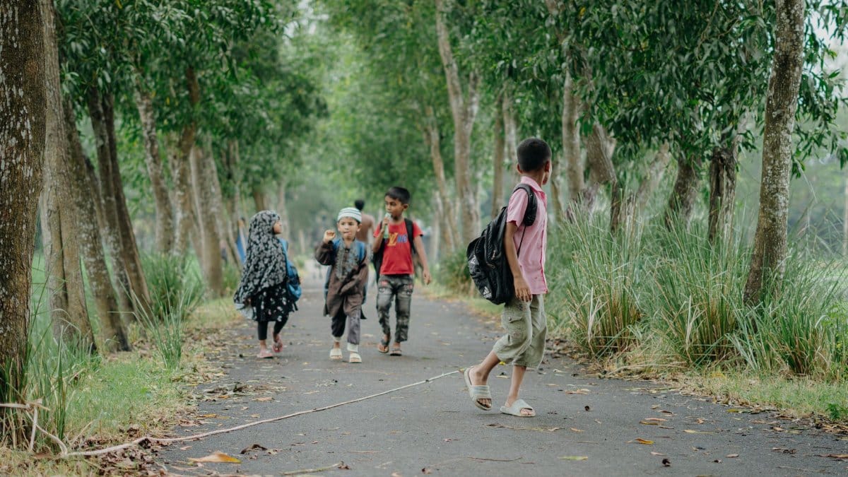 Group of children walking through a forest pathway, illustrating daily life and nature exploration.