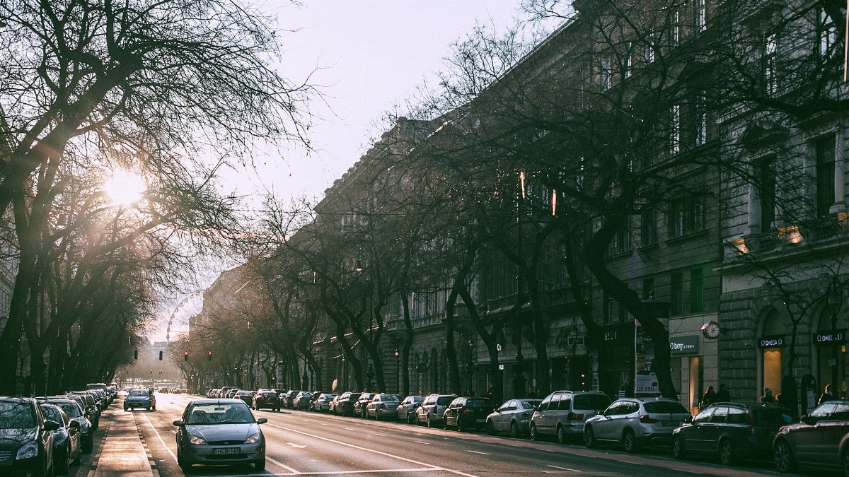 Cars driving on asphalt road between parked automobiles and residential houses in modern city district with sun shining through tree branches