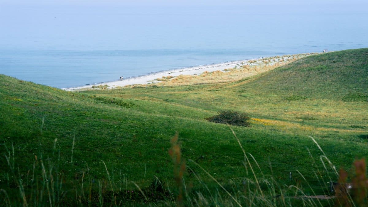 Beautiful view of green hills meeting the serene coast in Samsø Municipality, Denmark.