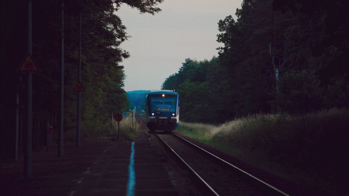 A train moving through a dense forest during evening hours, showcasing serene travel.
