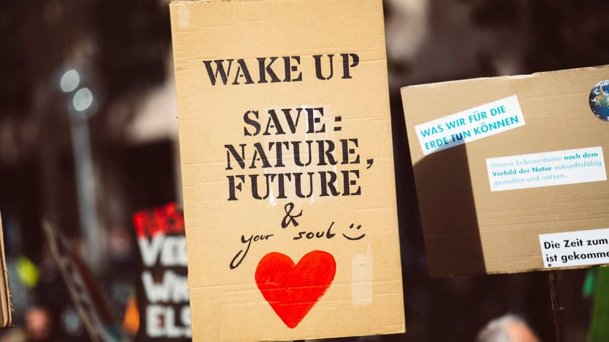 Cardboard signs with environmental messages at a rally, focusing on nature conservation.