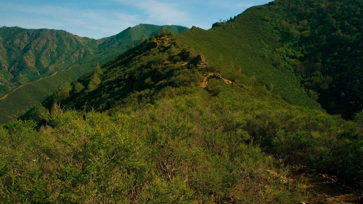 Explore the lush green mountains and valleys of Contra Costa Centre under a clear blue sky.