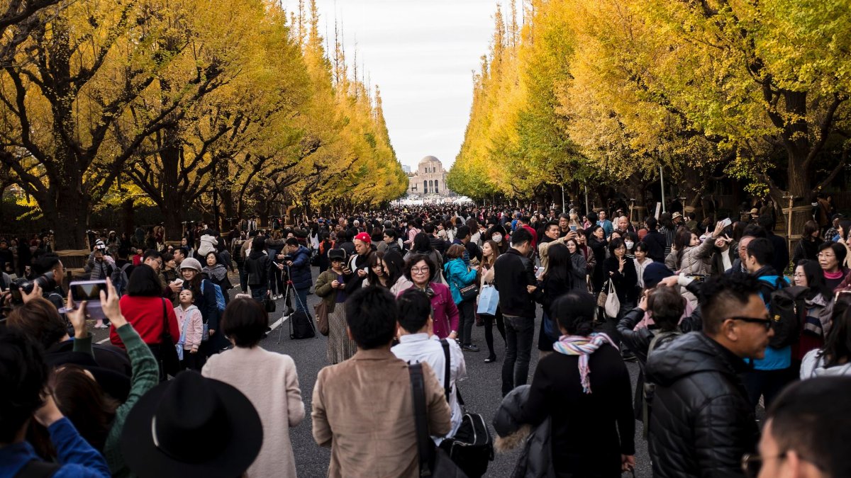 Crowds enjoy a vibrant autumn day under ginkgo trees at Meiji Jingu Gaien, Tokyo.