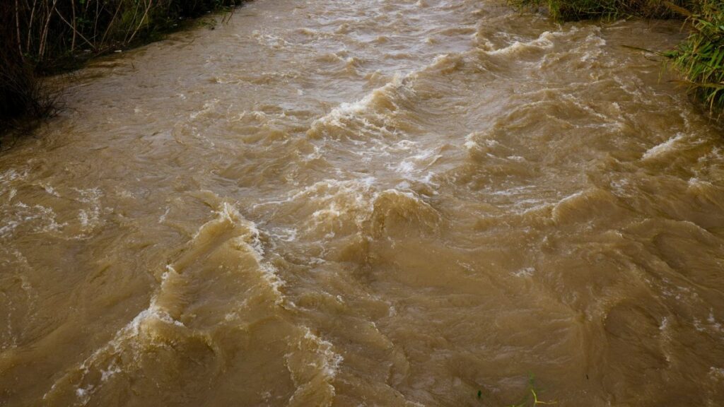 A muddy river flowing rapidly through a natural landscape after heavy rain, showcasing erosion and flooding.
