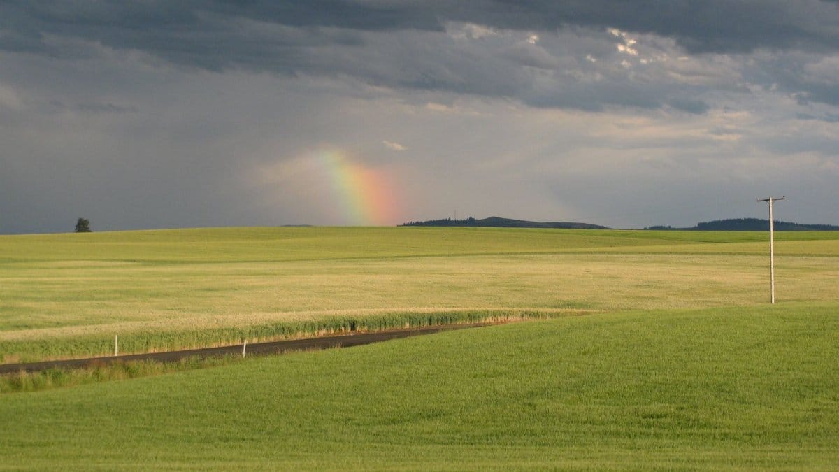A beautiful rainbow arcs over a vast grassy field under dramatic cloudy skies.