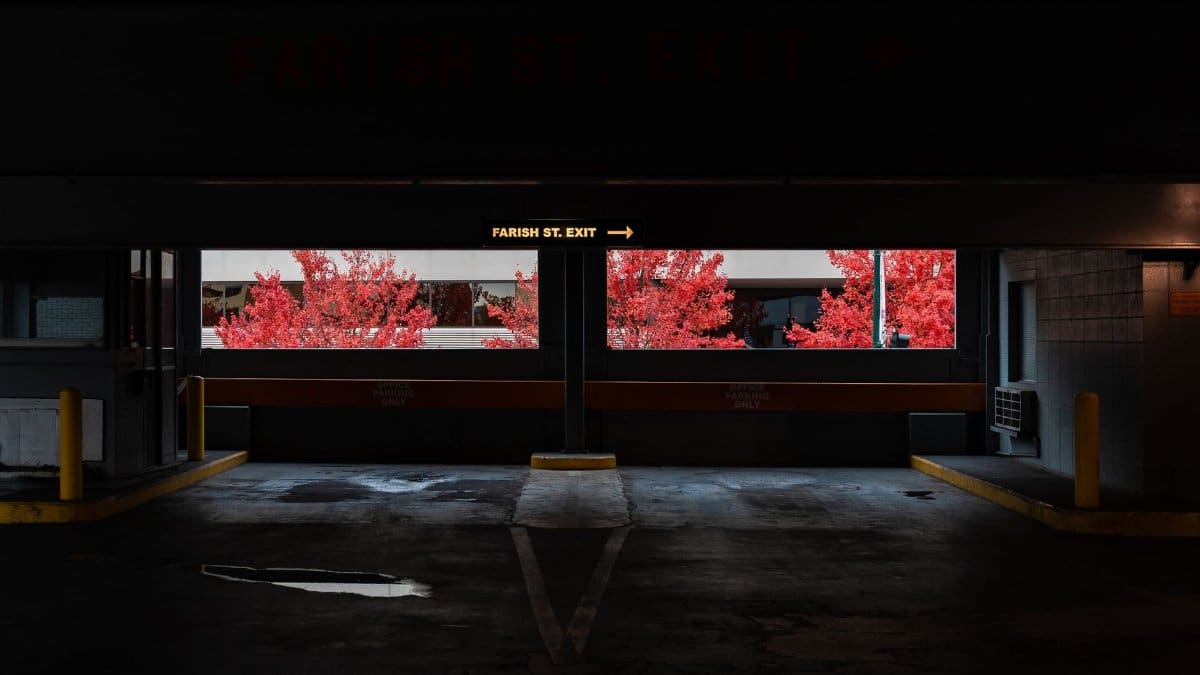 Stunning autumn view of red leaves seen from dark parking garage exit.