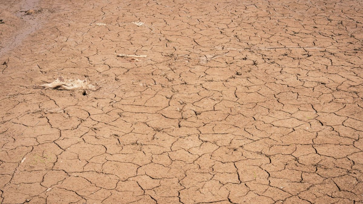 A detailed view of cracked ground depicting severe drought conditions and environmental dryness.