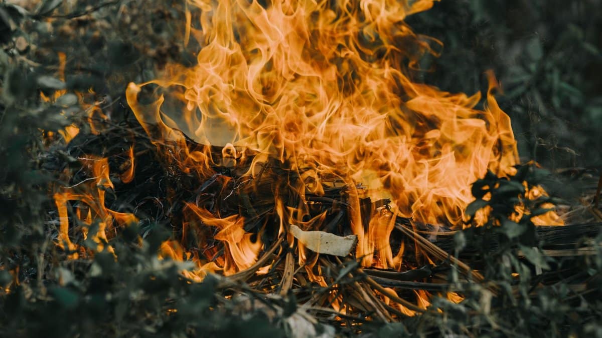 A close-up view of an intense fire in a natural setting, with flames consuming dry wood and leaves.