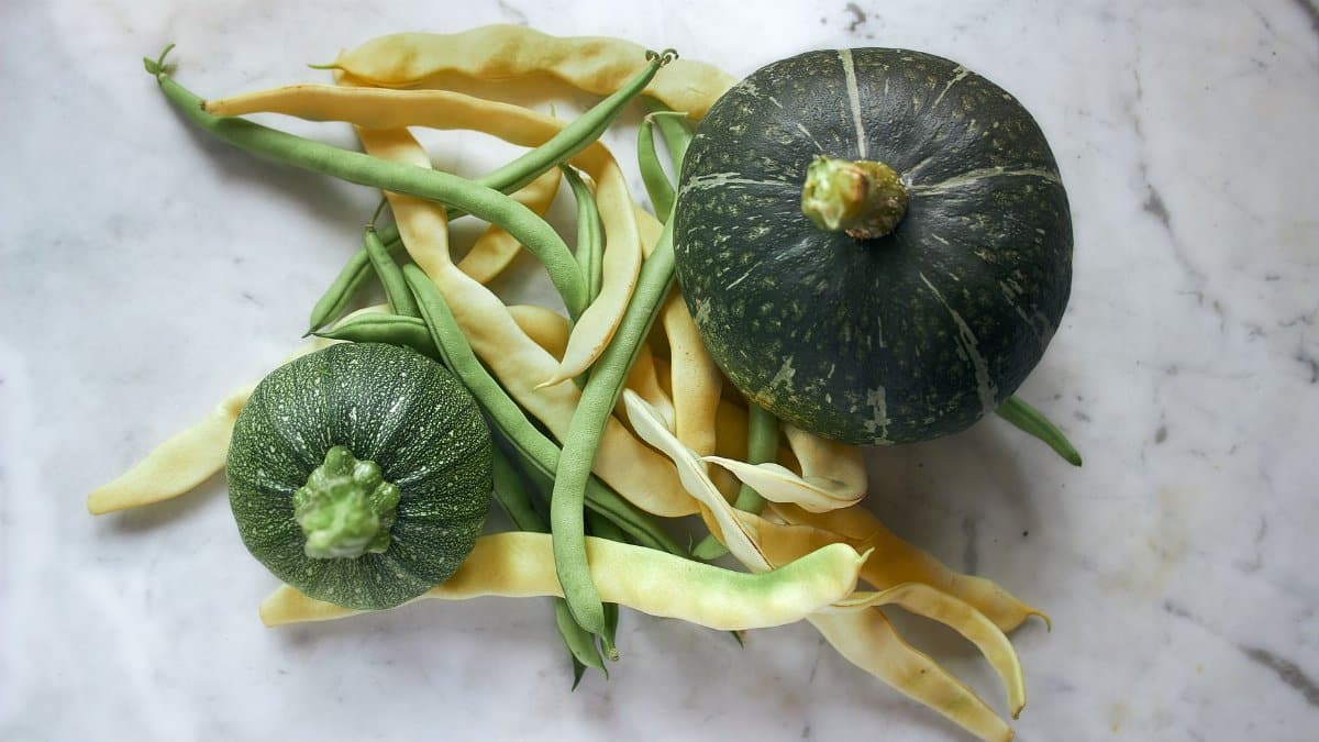 A still life composition showcasing fresh green and yellow squash with assorted beans on a marble surface.